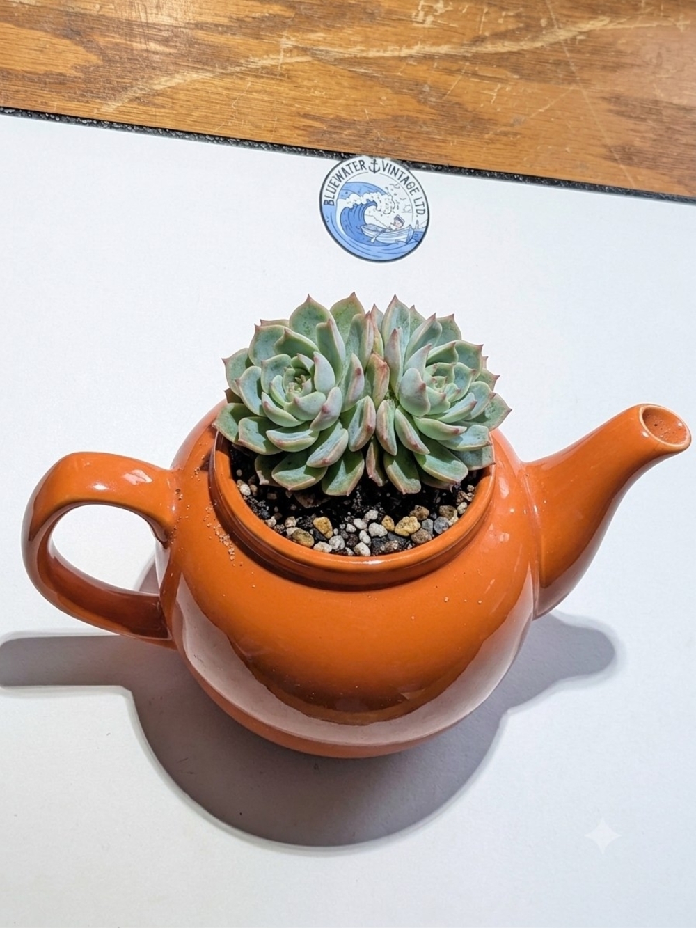 Vintage Old Amsterdam Porcelain Works Orange Teapot Base Planter Decor